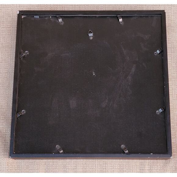 Shaun White Signed Autographed Stride Gum Pack 2012 Shadow box NO COA - Picture 7 of 7